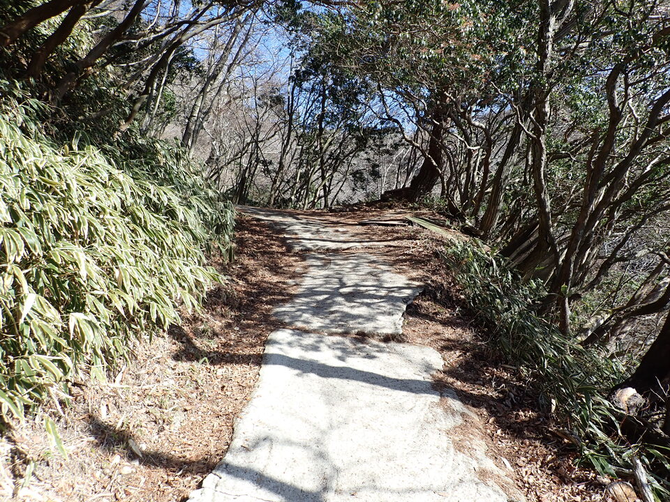 P2242928_mid.jpg