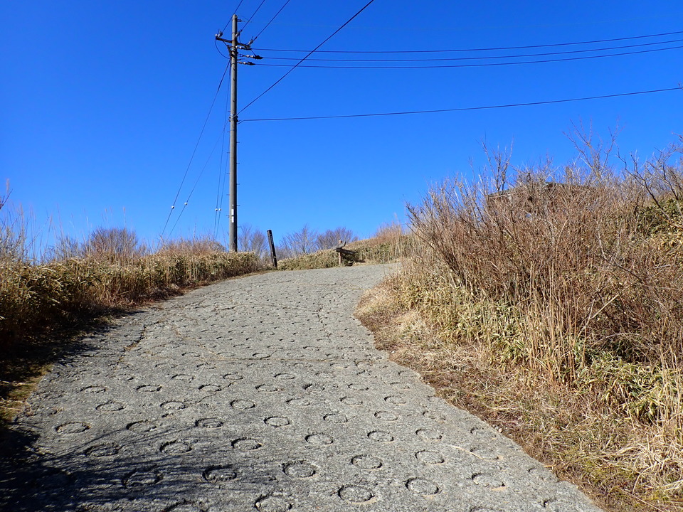 P2242941_mid.jpg