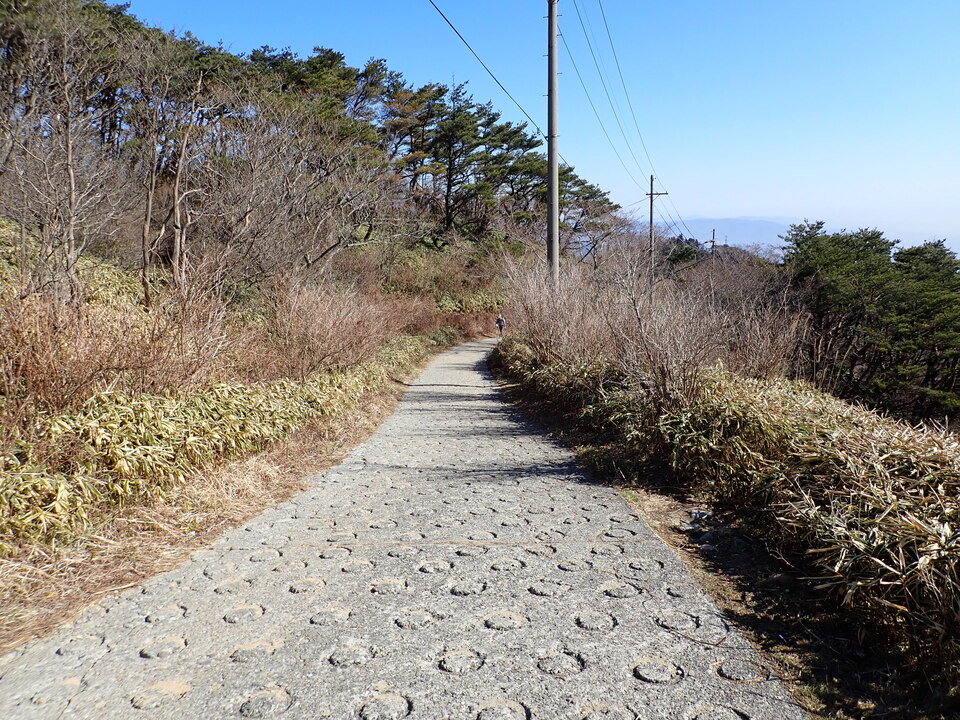 P2242942_mid.jpg