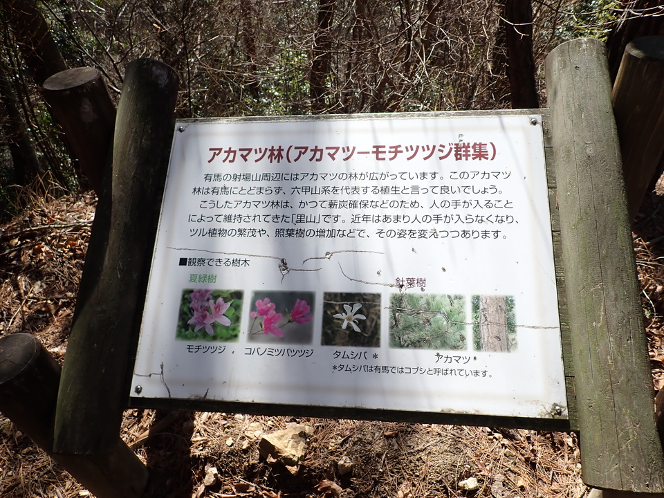 P2242974_mid.jpg