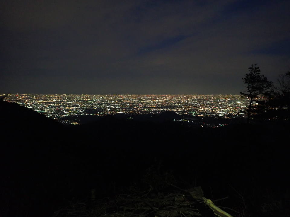 P3153055_mid.jpg