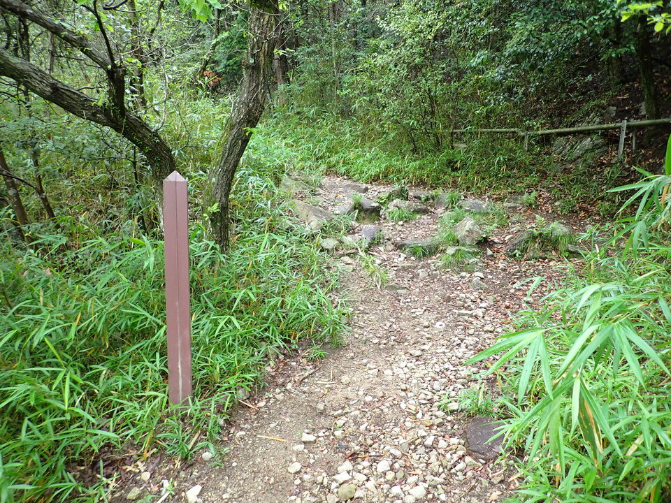 P6285363_mid.jpg