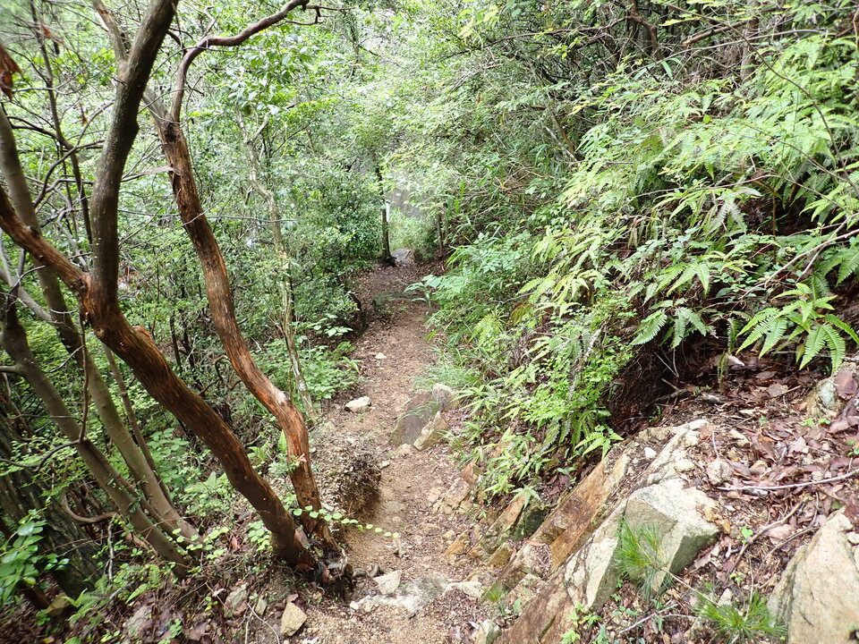 P6285400_mid.jpg
