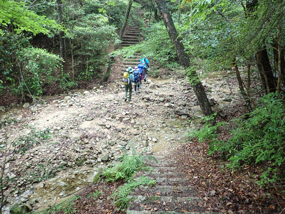 P6285429_mid.jpg