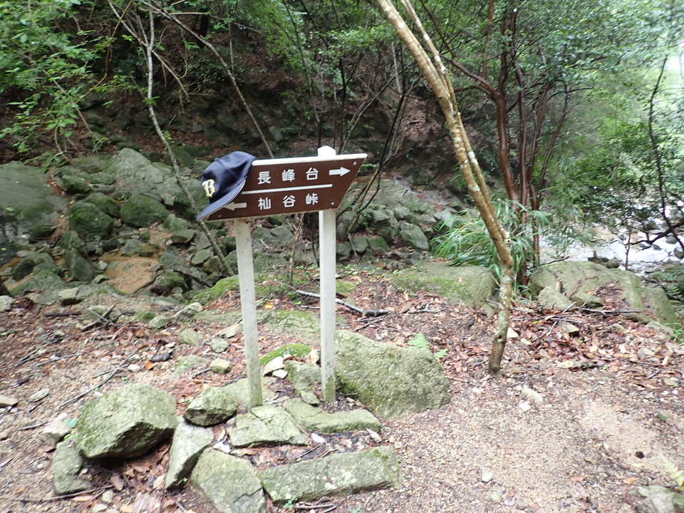P6285448_mid.jpg