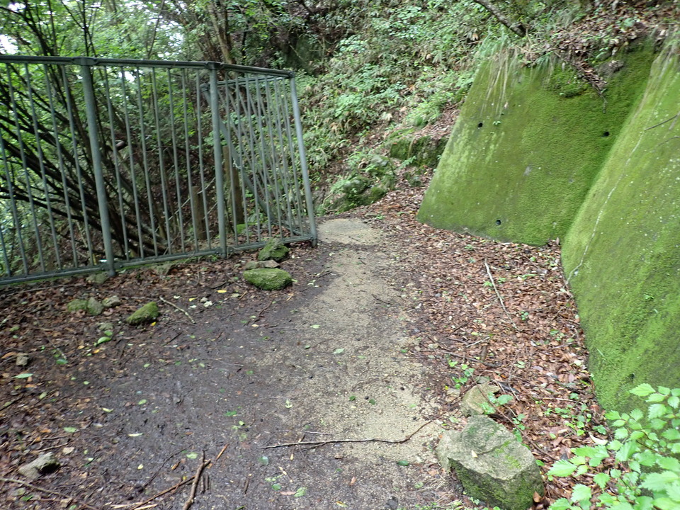 P6285453_mid.jpg