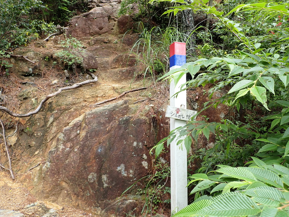 P6285500_mid.jpg
