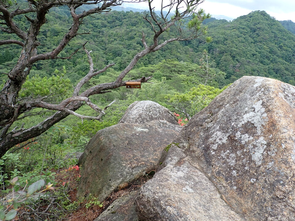 P6285510_mid.jpg