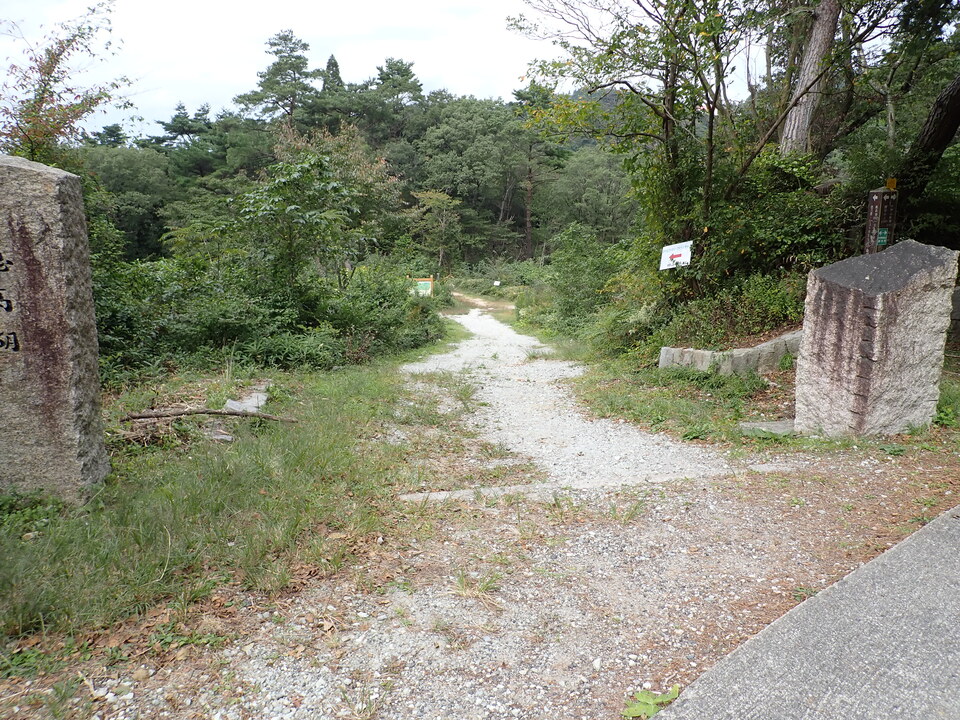 PA036528_mid.jpg
