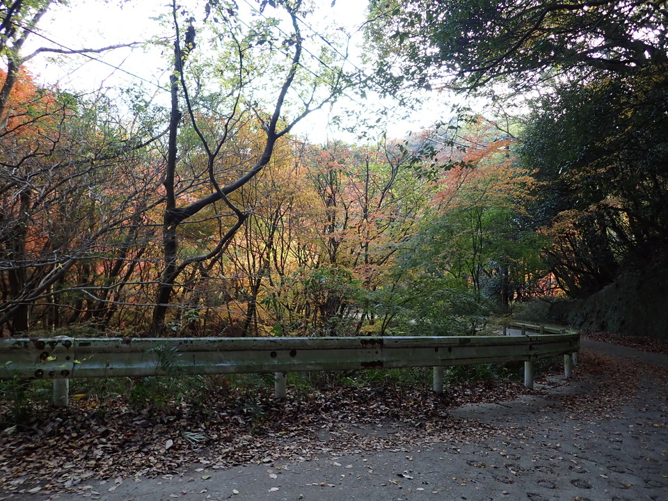 PC067668_mid.jpg