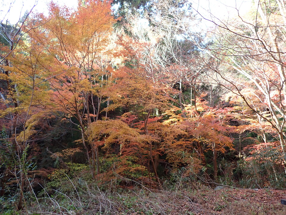 PC067705_mid.jpg