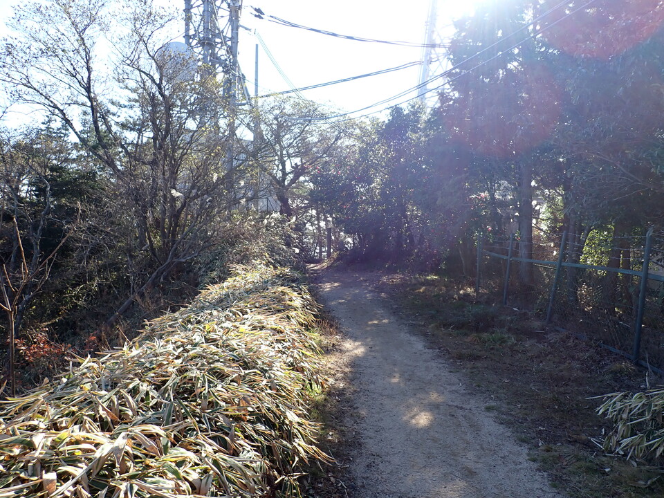 PC067736_mid.jpg