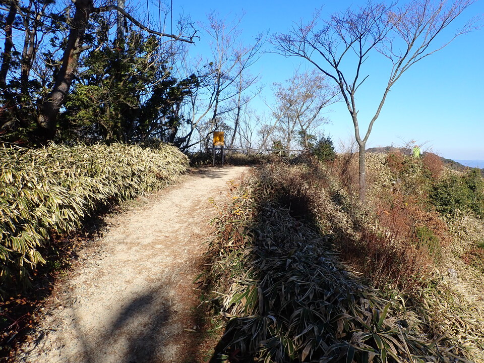 PC067737_mid.jpg