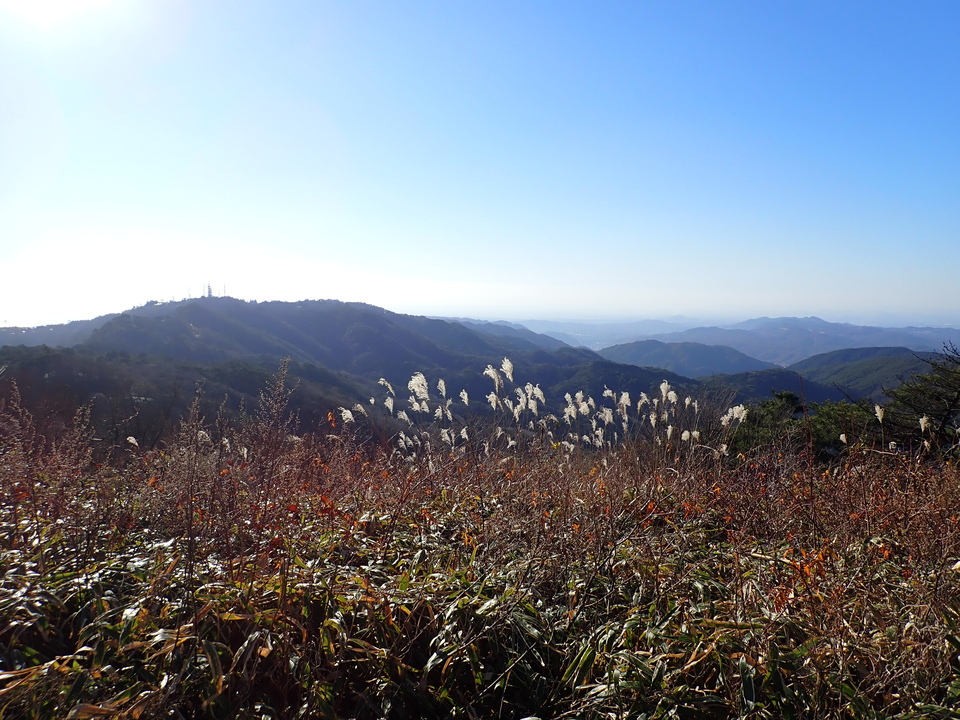 PC067740_mid.jpg