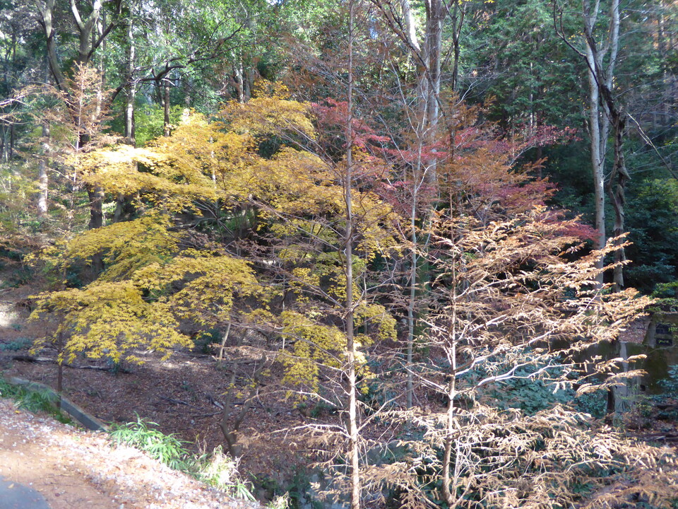 P1020137_mid.jpg