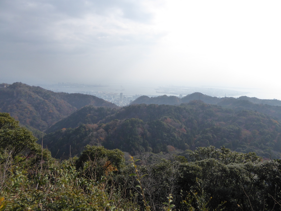 P1020289_mid.jpg