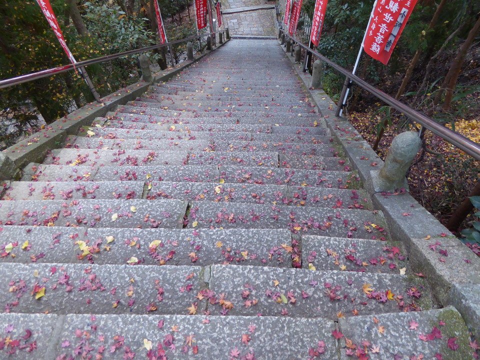 P1020298_mid.jpg