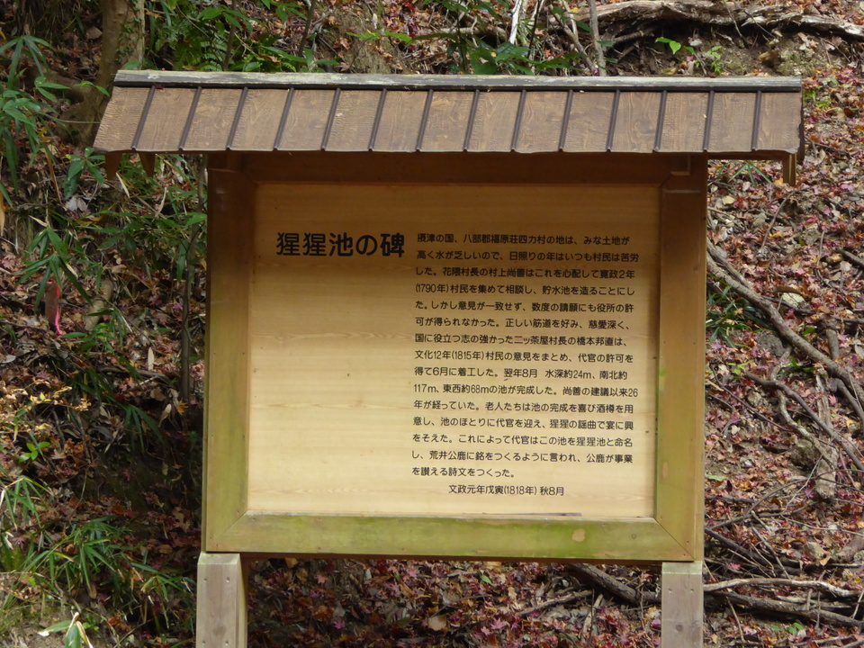 P1020327_mid.jpg