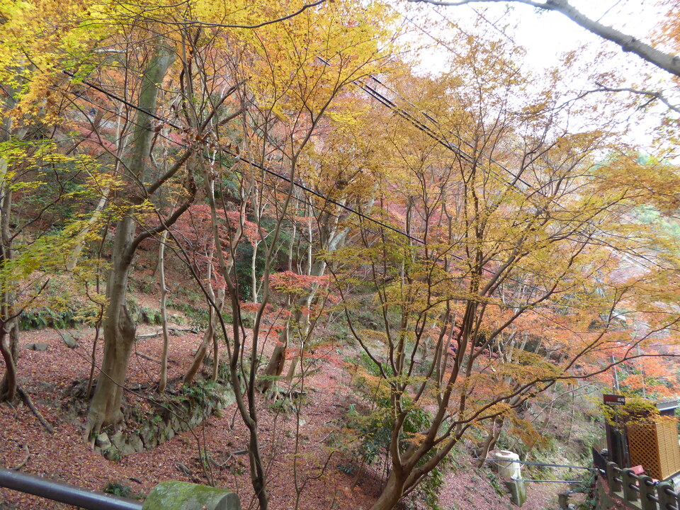 P1020405_mid.jpg