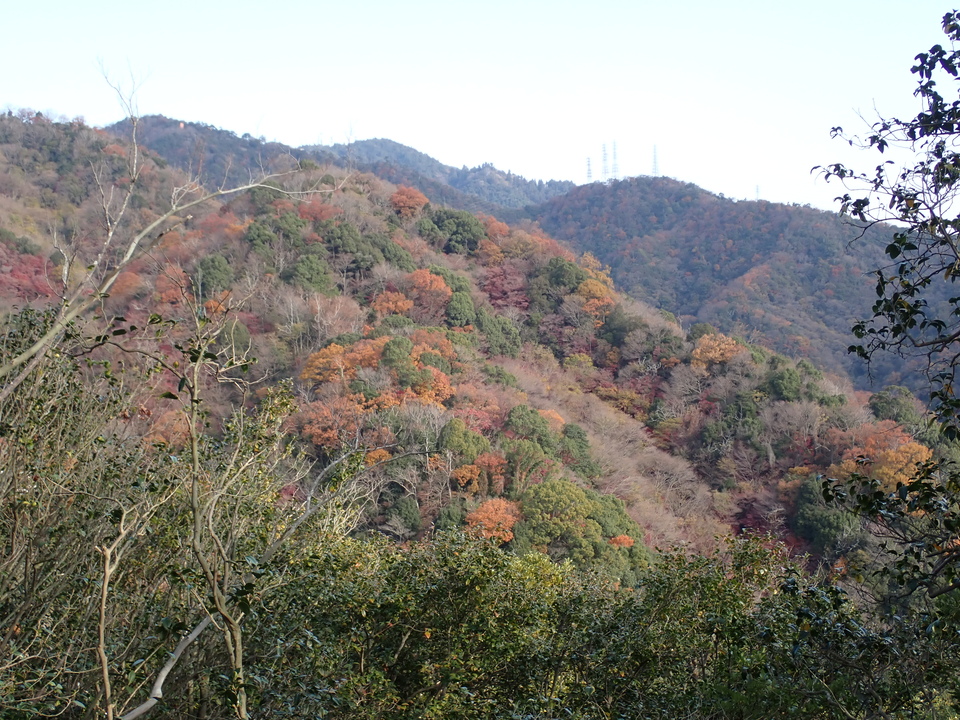 PC127811_mid.jpg