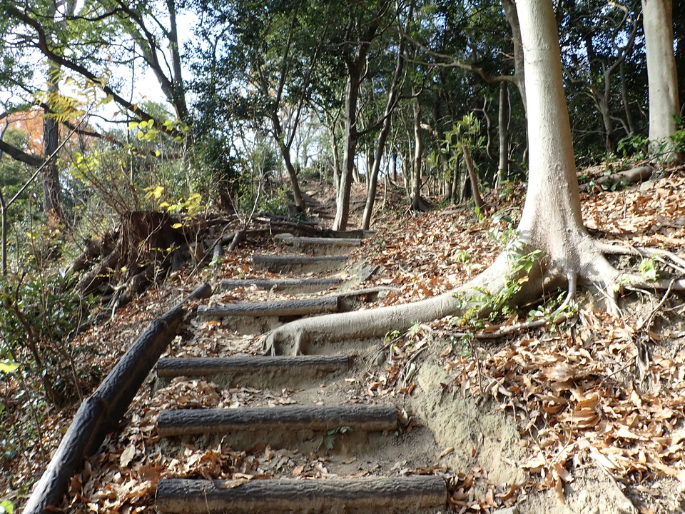 PC127815_mid.jpg