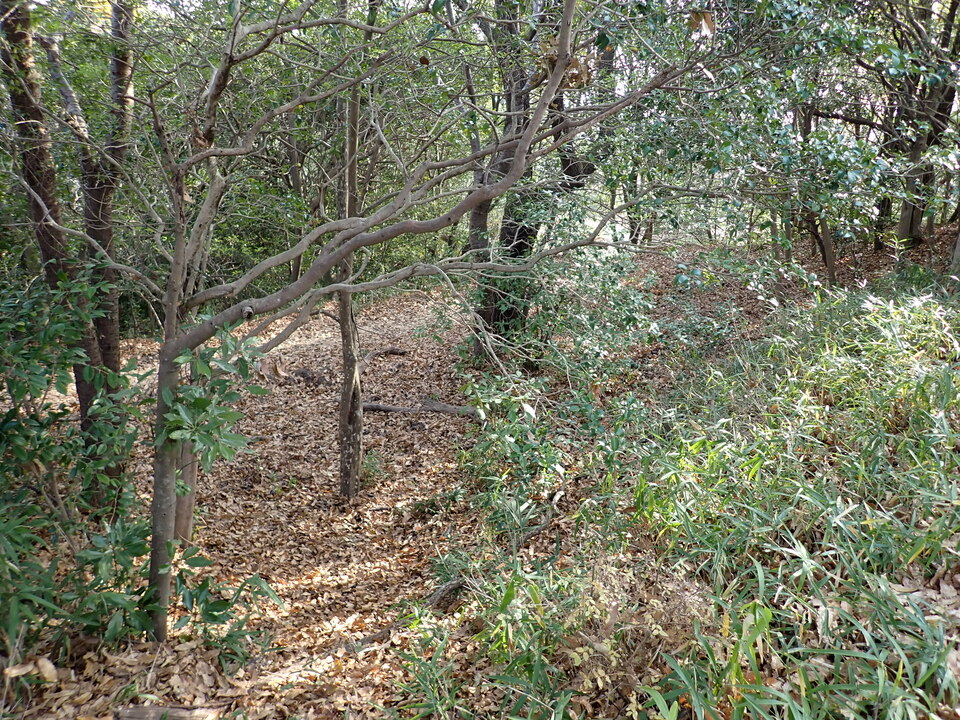 PC127817_mid.jpg