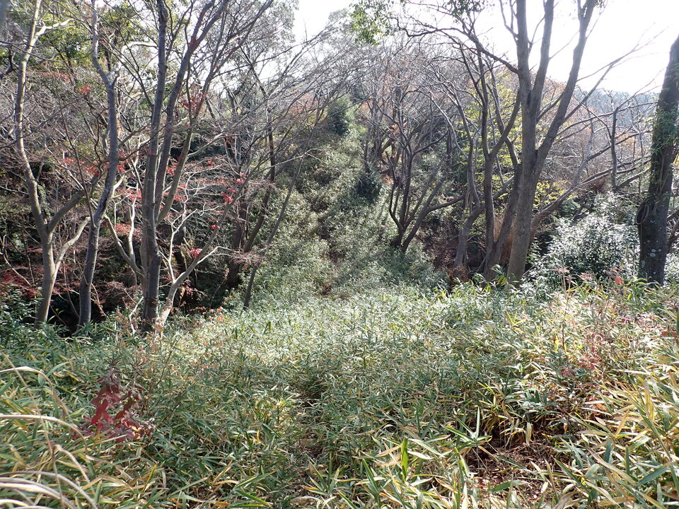PC127836_mid.jpg