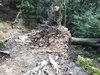 DSC_2741_thumb.png