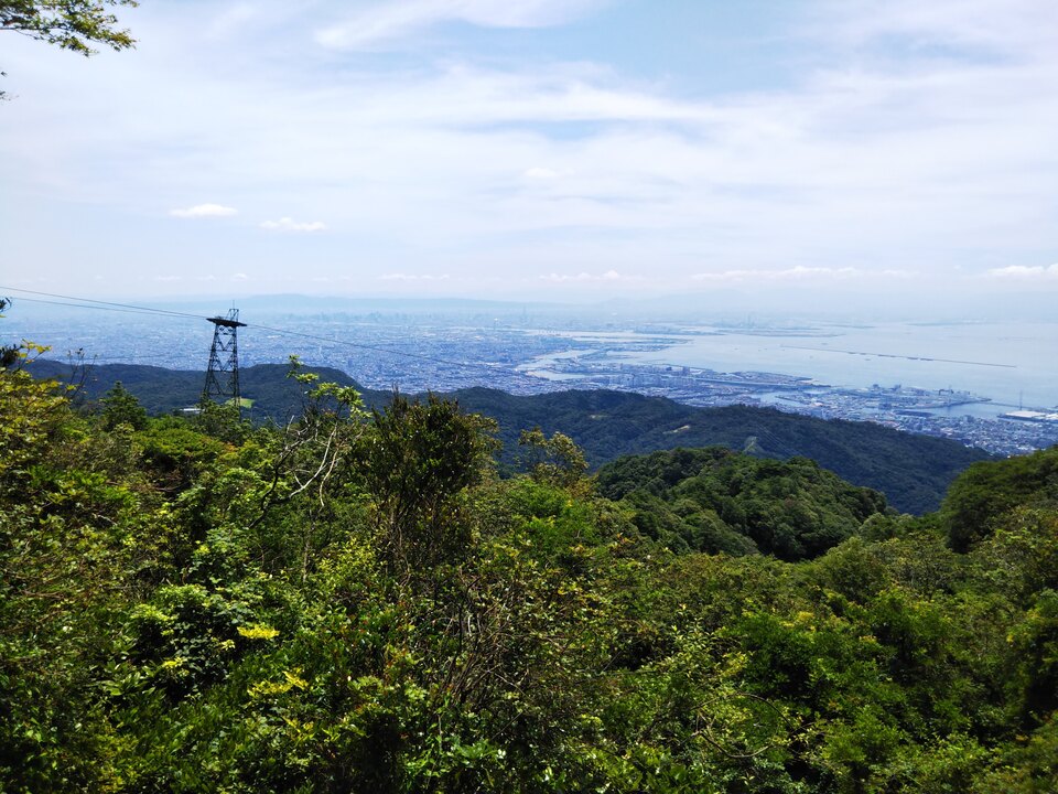 DSC_2749_mid.jpg