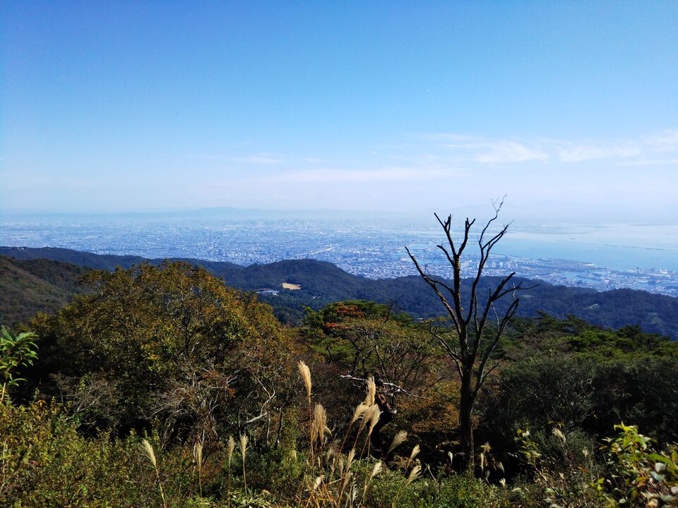 DSC_2897_mid.jpg