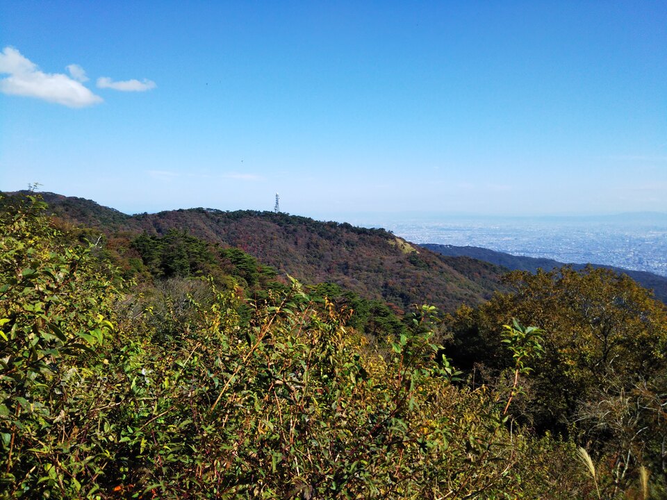 DSC_2898_mid.jpg