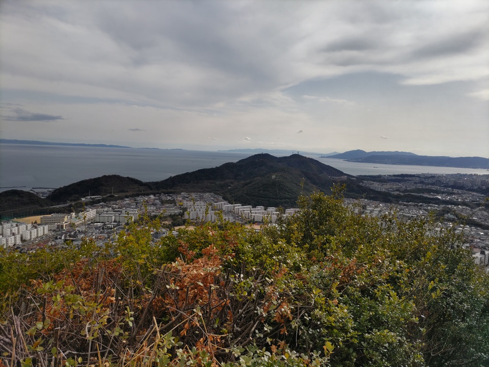 DSC_0584_mid.jpg