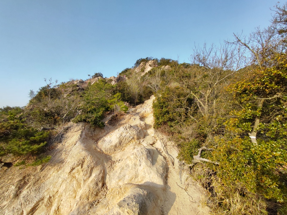 DSC_0655_mid.jpg