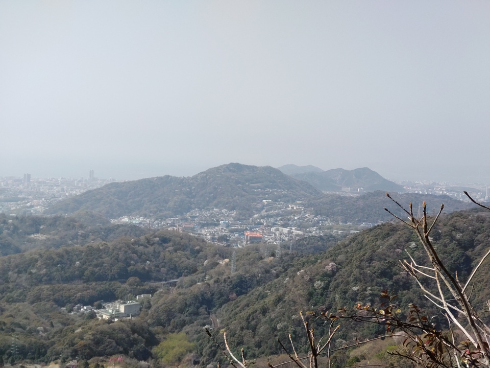 DSC_0691_mid.jpg