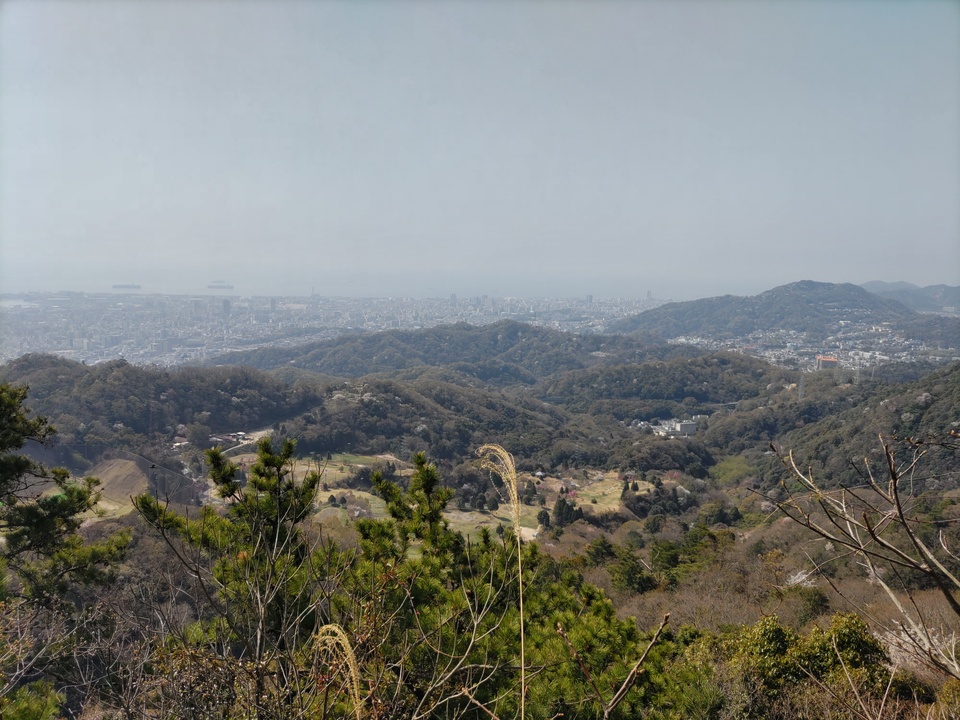 DSC_0692_mid.jpg