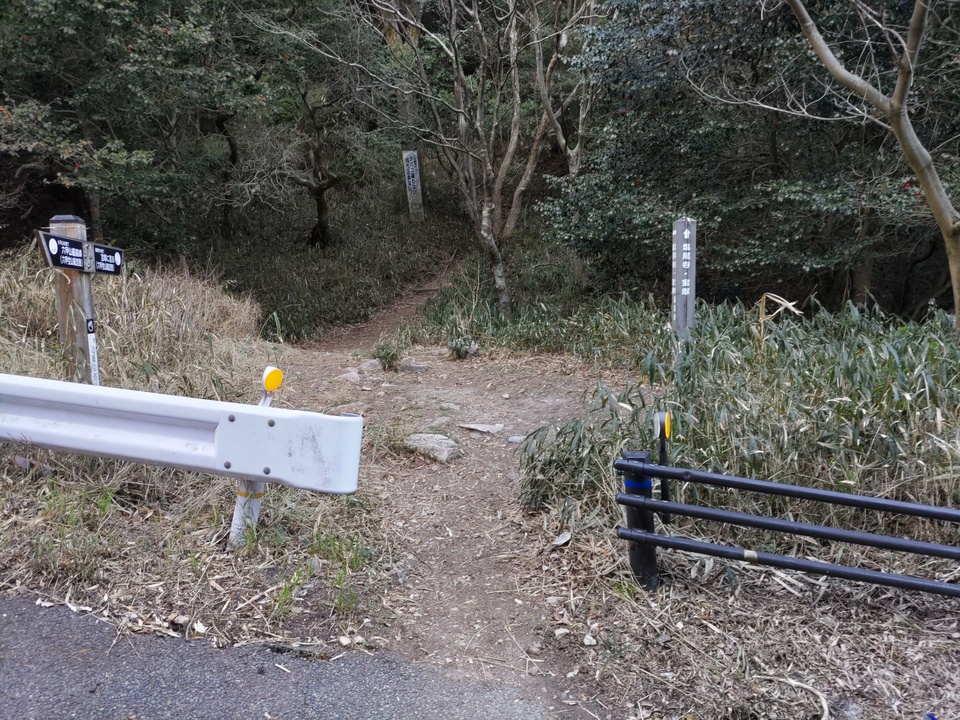 DSC_0786_mid.jpg
