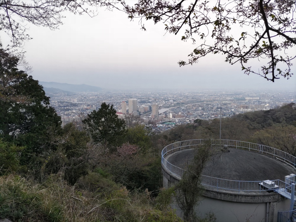 DSC_0790_mid.jpg