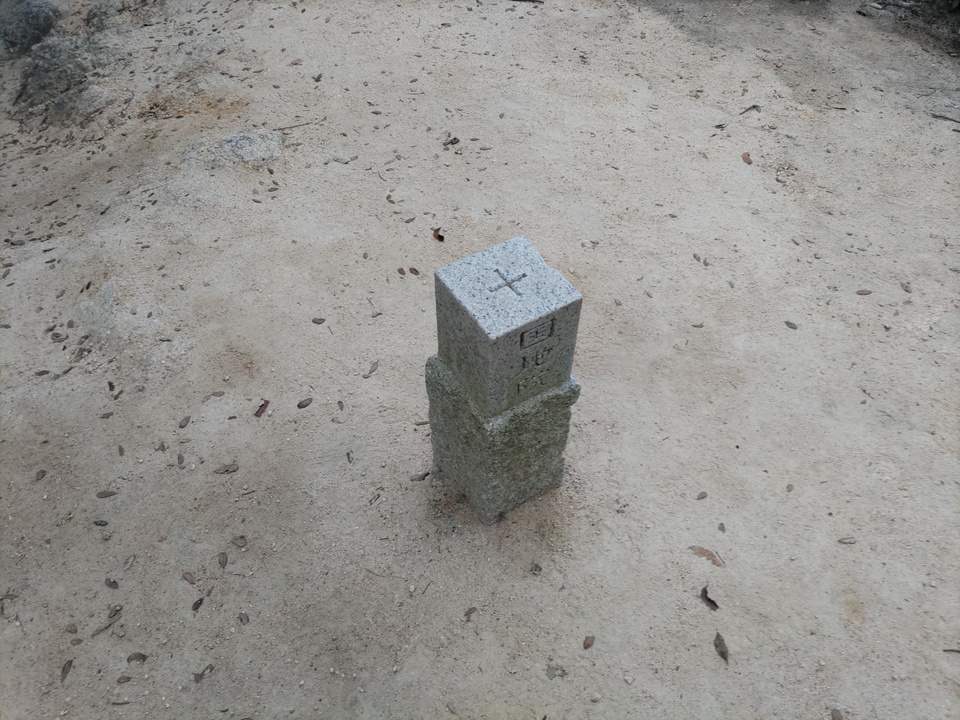 DSC_1387_mid.jpg