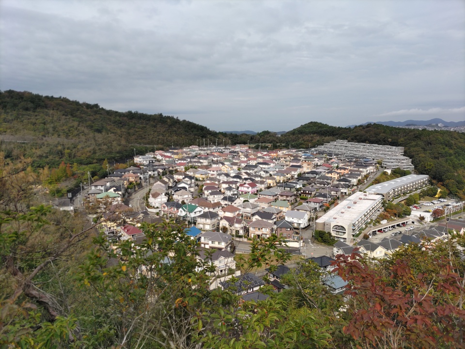 DSC_1410_mid.jpg