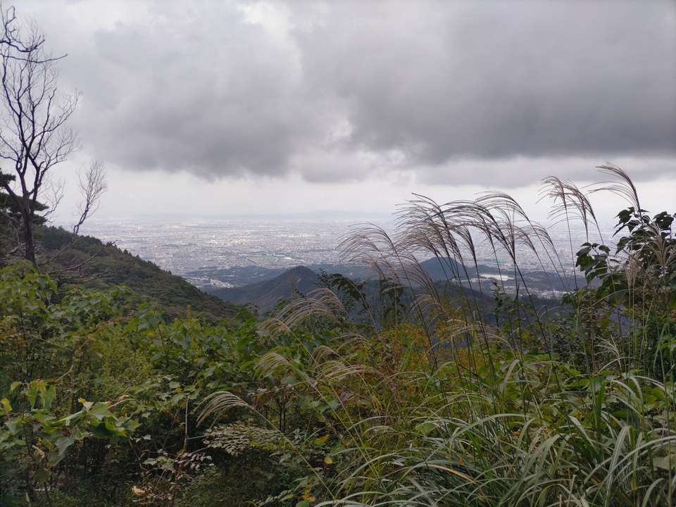 DSC_1447_mid.jpg