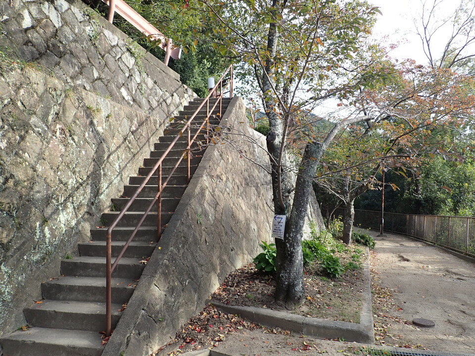 PA301432_mid.jpg