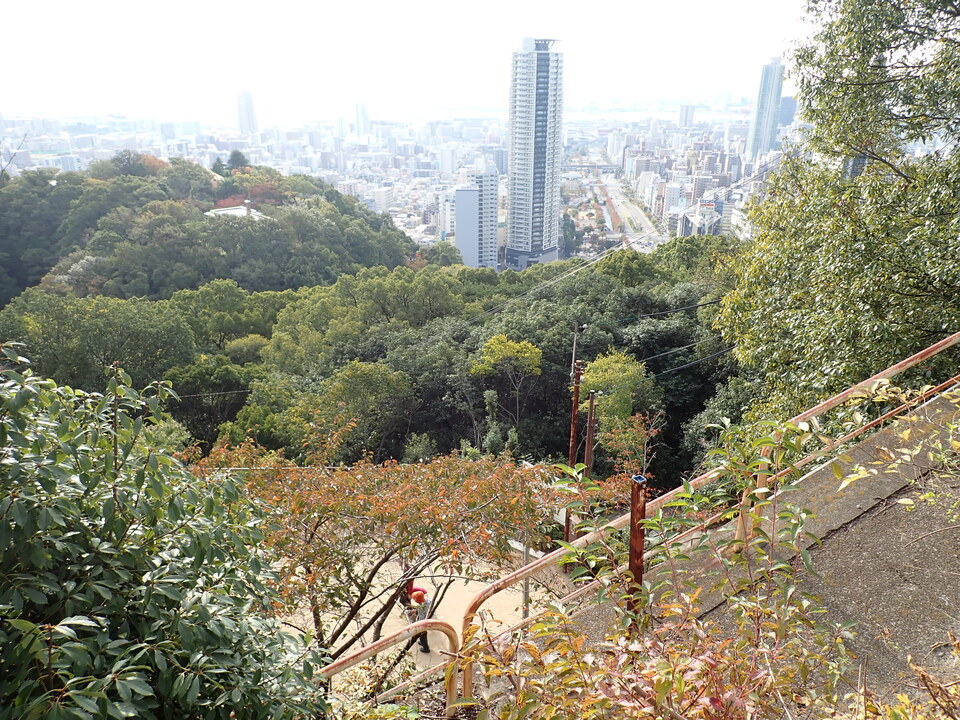 PA301436_mid.jpg