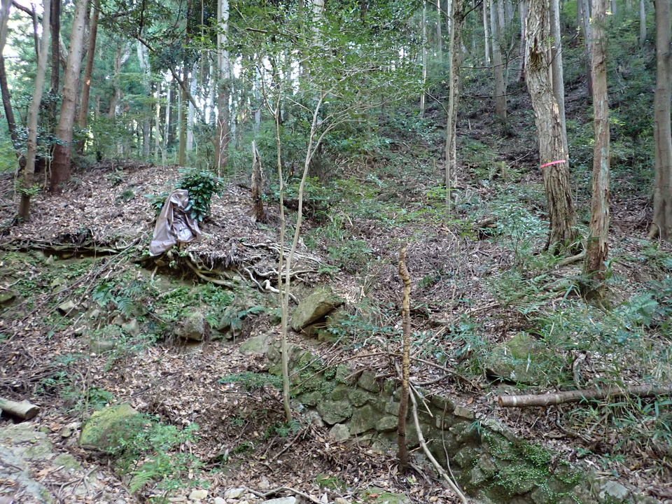 PA301478_mid.jpg