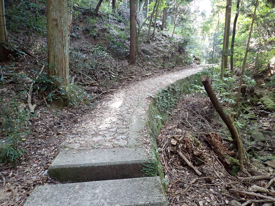 PA301481_mid.jpg