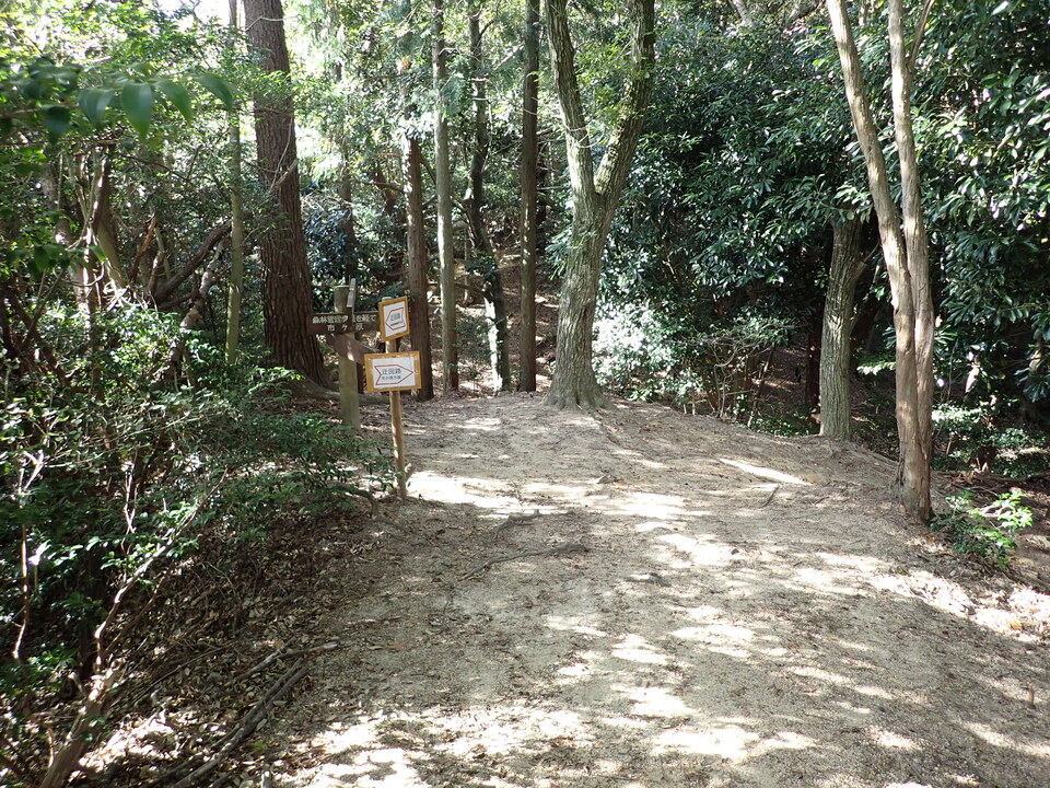 PA301539_mid.jpg