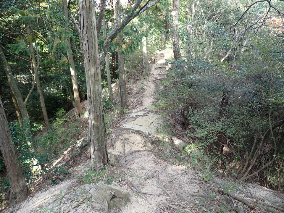 PA301541_mid.jpg