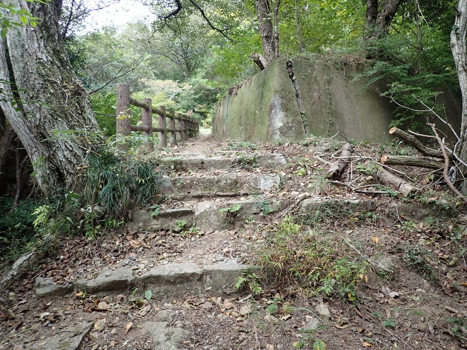 PA301572_mid.jpg