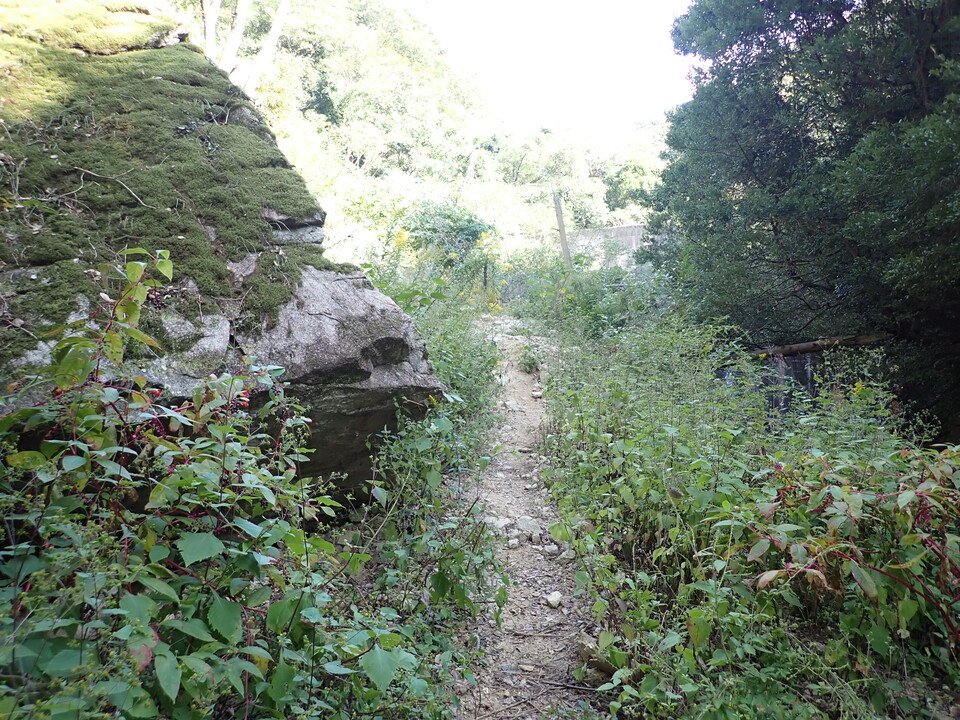 PA301595_mid.jpg