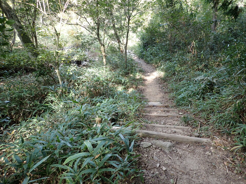 PA301622_mid.jpg