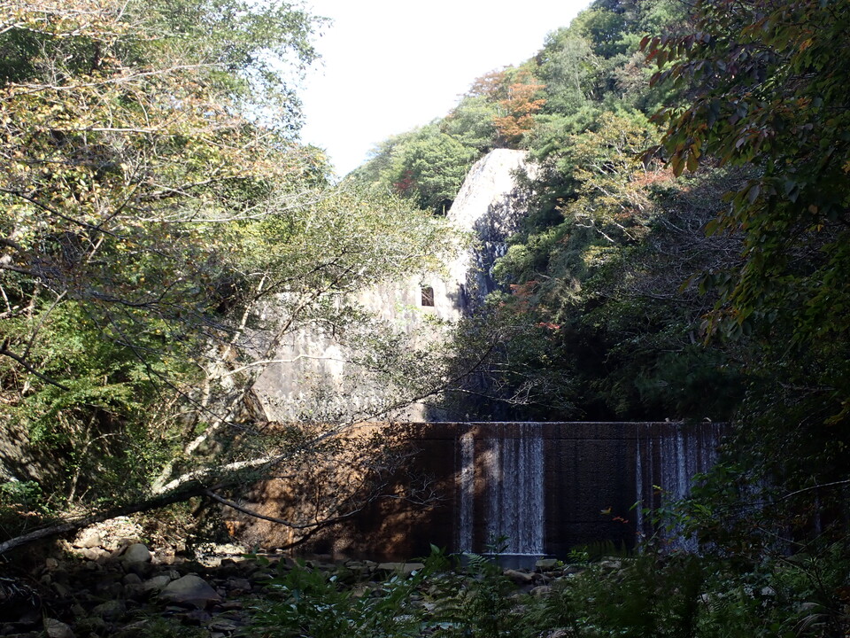 PA301645_mid.jpg